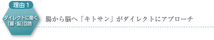 理由1　ダイレクトに働く「腸・脳」回路　腸から脳へ「キトサン」がダイレクトにアプローチ