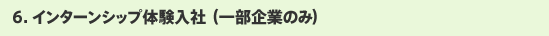 6. インターンシップ体験入社（一部企業のみ）